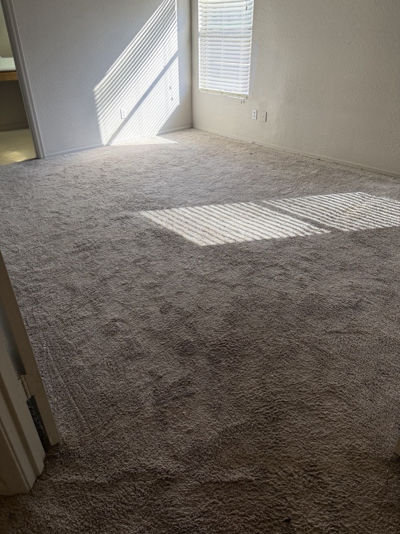 A sunlit bedroom with clean carpet