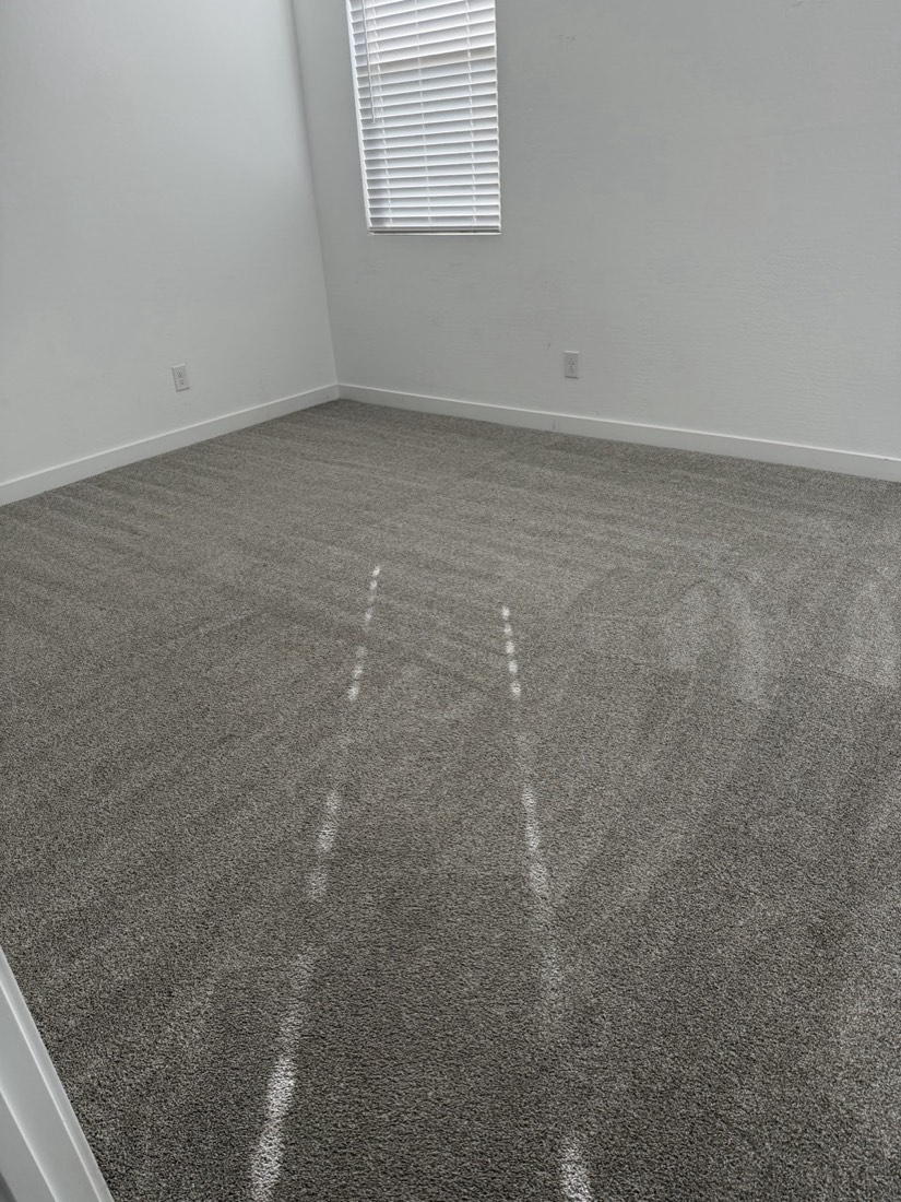 A grey carpet with fresh clean lines